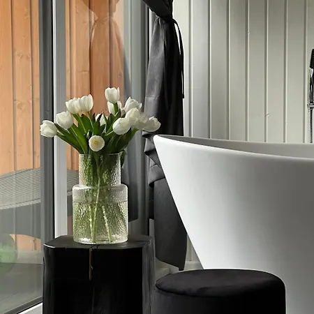 New! Sniegi Design With Sauna And Jacuzzi * Madona